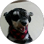 Andrew Lee Avatar