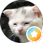 ZY L Avatar